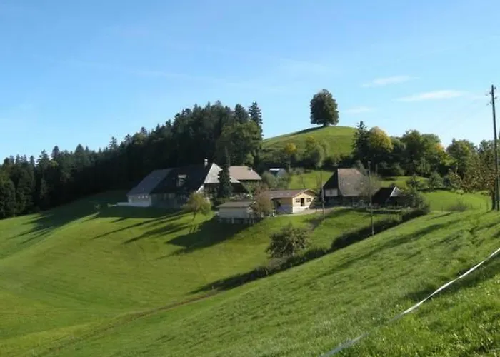 Apartment Hof Geilisguet By Interhome Ranflüh 사진