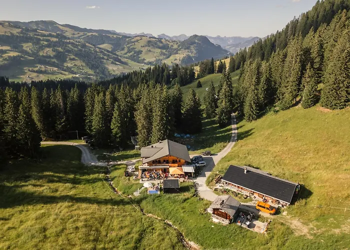 Ferienwohnung Lochstafel Saanenmöser Foto