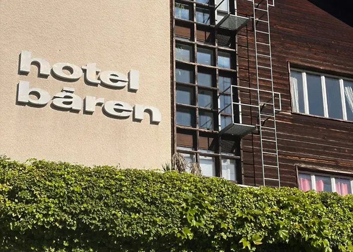 Photo de Seehotel Baeren Brienz 